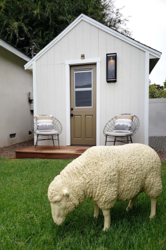 Pippen Patio Shed